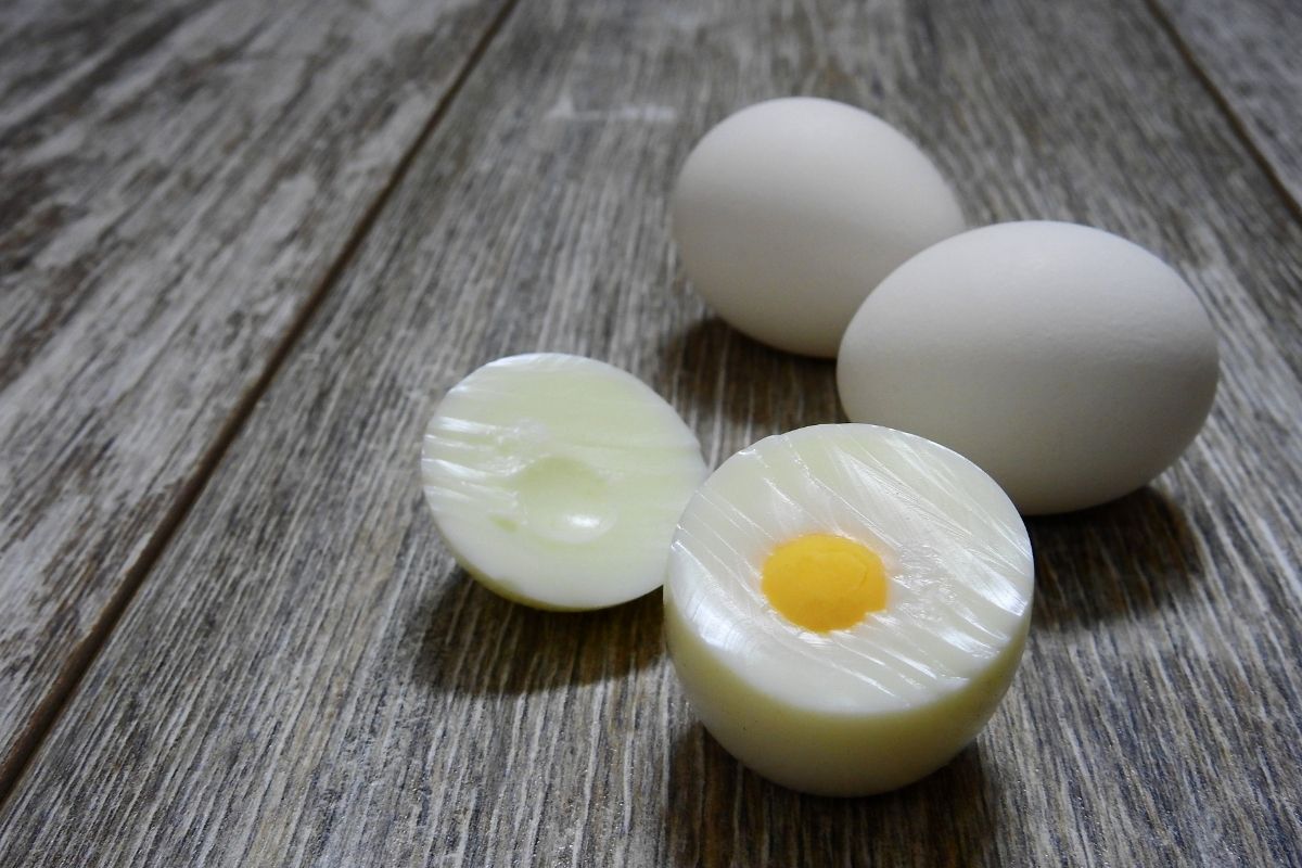 Você está visualizando atualmente Perguntas frequentes sobre ovo