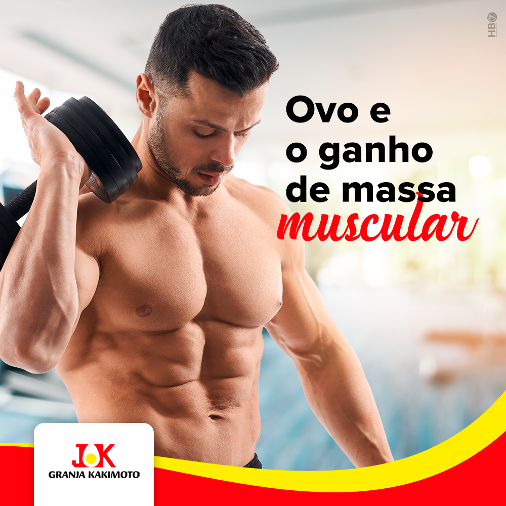 Leia mais sobre o artigo Ovo e massa muscular