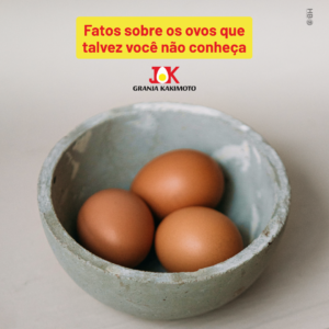 Leia mais sobre o artigo <strong>Fatos sobre os ovos que talvez você não conheça</strong>